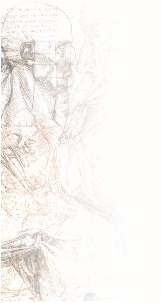 leonardo.gif
