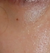 DSC_1963.JPG