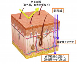 スクリーンショット 2014-12-01 18.01.00.png