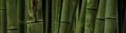 bind_25.jpg